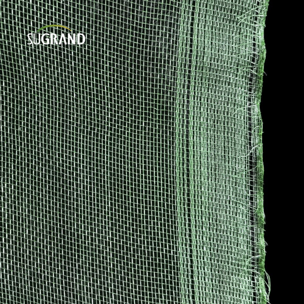 العرض الأخضر 24X17 شبكة 45GSM HDPE البلاستيك ويندوز شاشة شبكة الحشرات شبكة