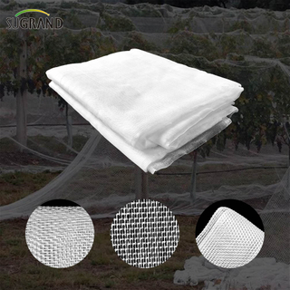 80GSM White Greenhouse Anti Insect Net إلى ماليزيا