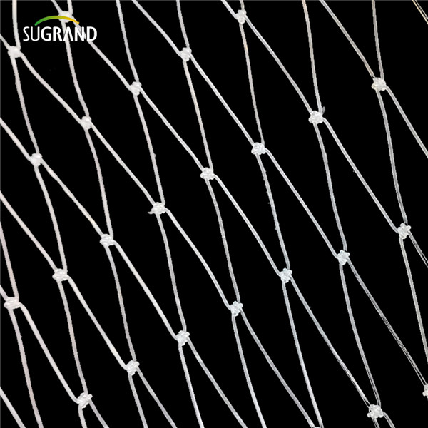 nylon fish net (5) شبكة أسماك النايلون (5)