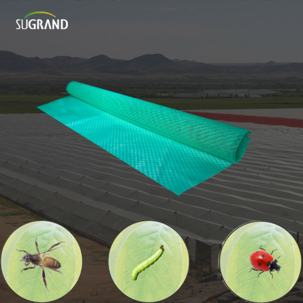 كيفية تركيب شبكات الحشرات: دليل DIY للمزارعين والبستانيين