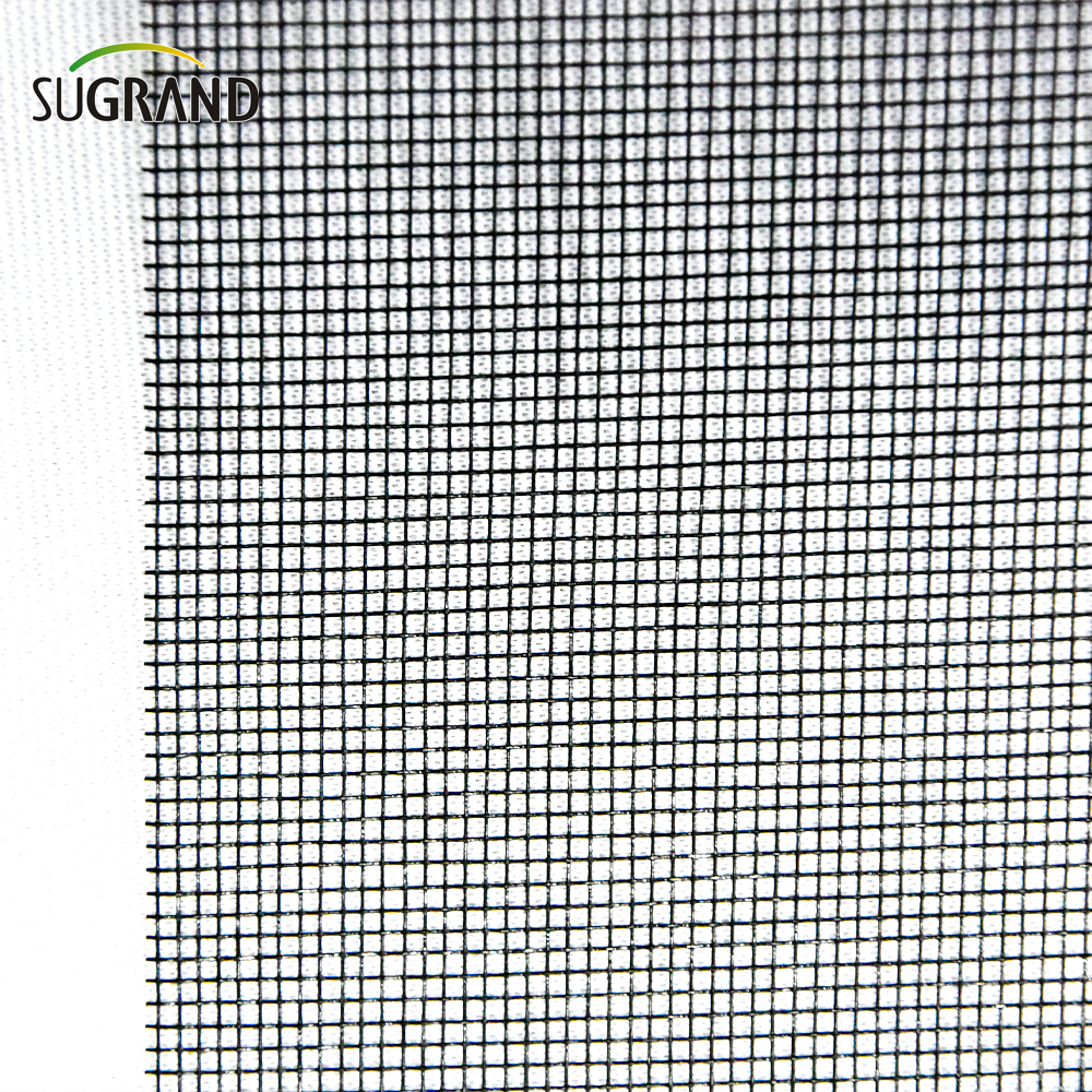 110gsm مكافحة الحشرات صافي الألياف الزجاجية شبكة شاشة الحشرات الموردين