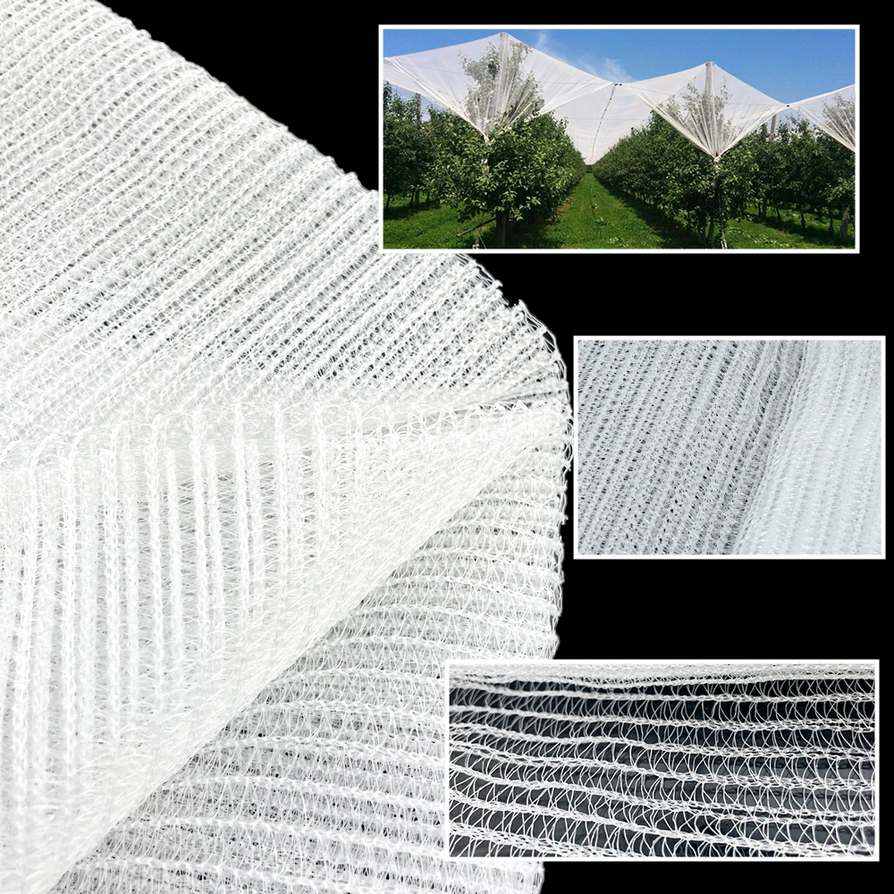 الزراعة HDPE البلاستيك المضاد للبرد الشبكة شبكة بيضاء البرد 