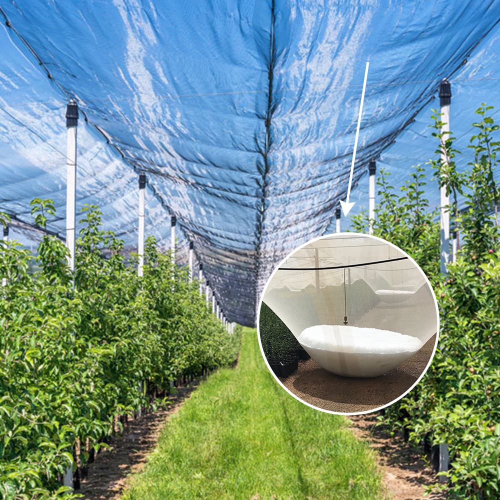 الزراعة HDPE البلاستيك المضاد للبرد الشبكة شبكة بيضاء البرد 