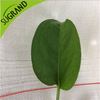 130GSM الزراعة Virgin HDPE