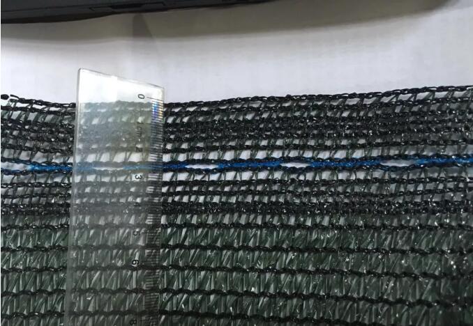 شبكة الزيتون 16