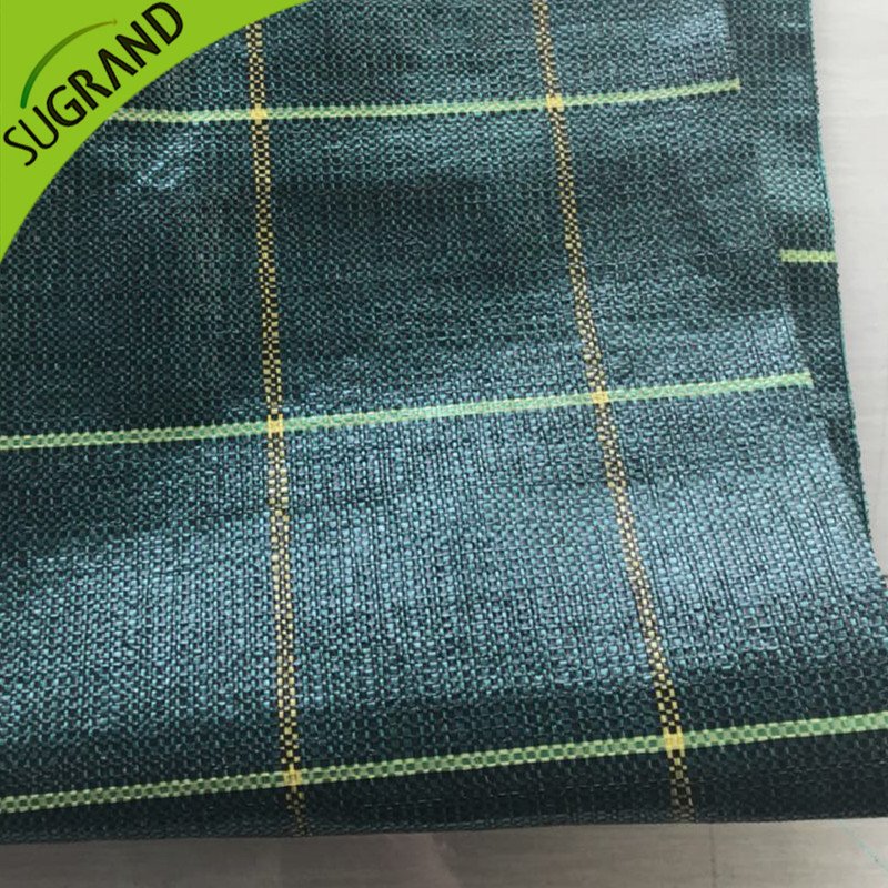 غطاء أرضي عالي الجودة 130GSM/حصيرة الأعشاب