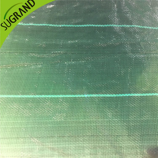 الغطاء الأرضي الخضراء الداكنة 104GSM