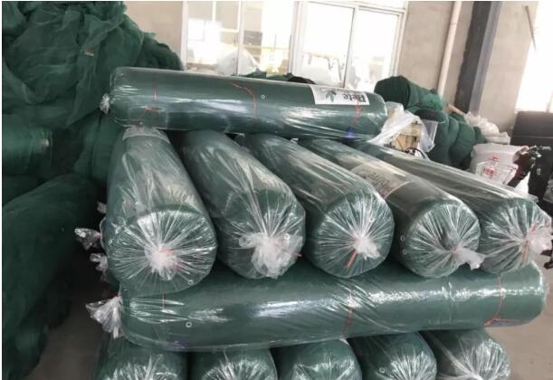 شبكة الزيتون 7