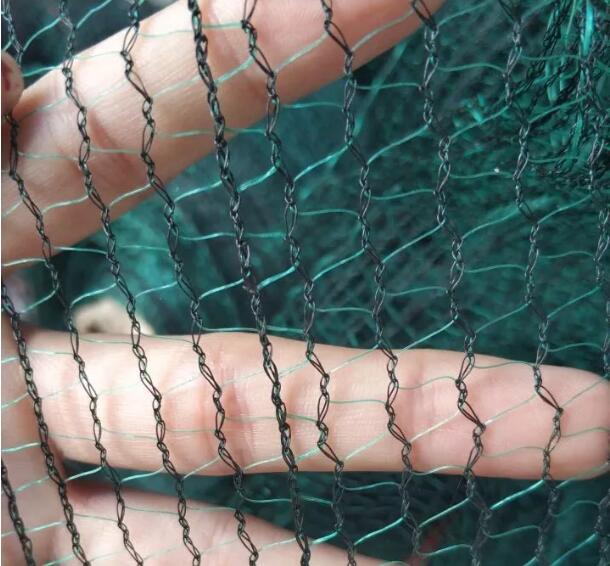 شبكة الزيتون 9