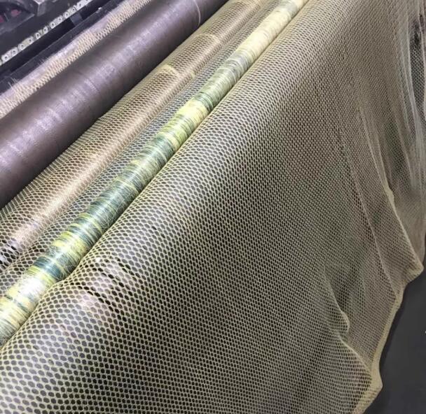 شبكة الزيتون 13