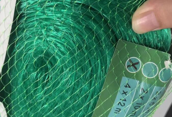 شبكة الطيور 2