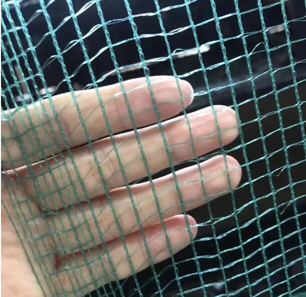 شبكة الزيتون 8