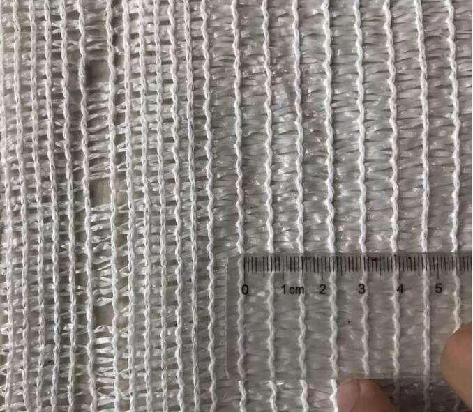 شبكة الزيتون 19