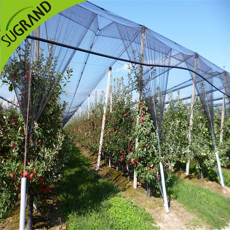 NEW HDPE Black Black Anti Bee Net عبر الإنترنت
