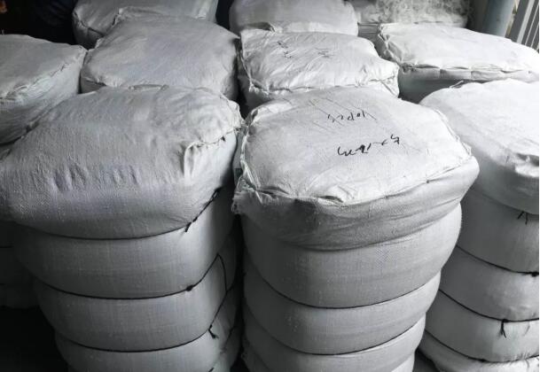 شبكة الزيتون 6