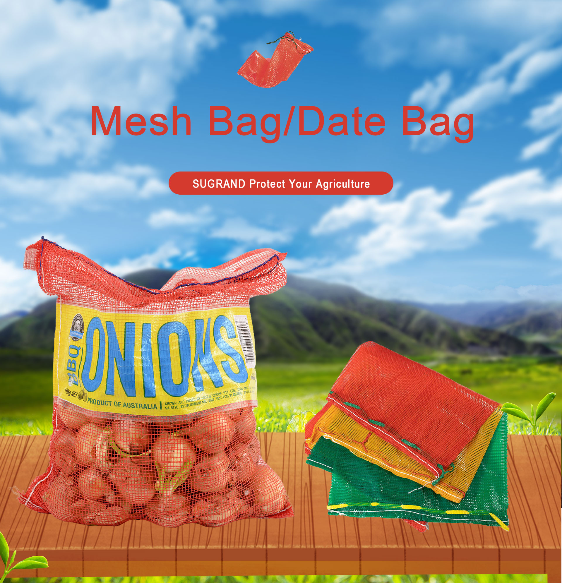 شبكة BAG1