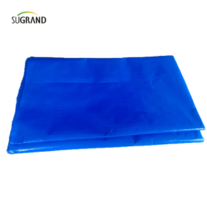 الشركة المصنعة عالية القوة الدائمة الأزرق المضاد للماء PVC Tabaulin 