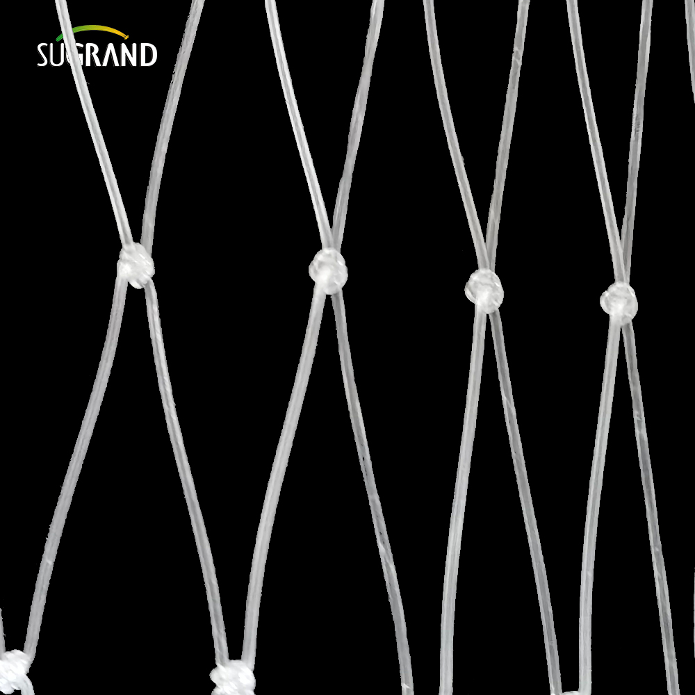 15*15 سم شبكة أسماك النايلون الشفافة لسوق بيرو