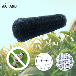 HDPE 200m بثرى شبكة الطيور المضادة لحماية الفاكهة الخضار
