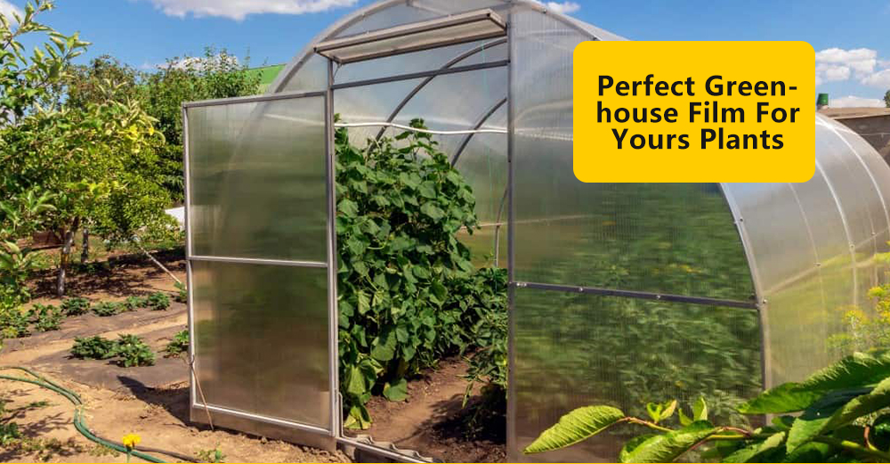 أغطية polytunnel