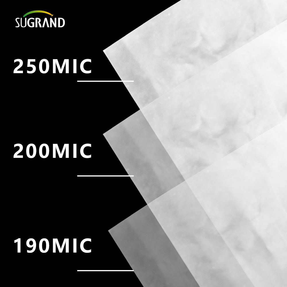 150 Micron-250 Micron UV Clear Polyethylene Greenhouse Plastic Plasting Moviliers