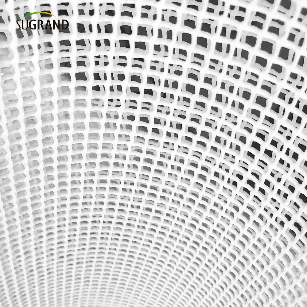 BOP امتدت PVC Mesh Trellis لحماية نمو الفاكهة