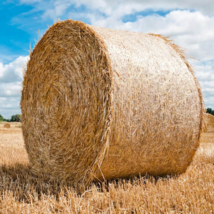 صافي بالة البليت صافي السيلاج بالجملة