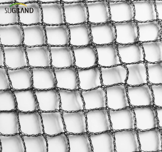 شبكة الطيور