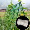 حديقة أخضر بيضاء Balck Trellis Plant Climbing دعم الموردين المعاوبين
