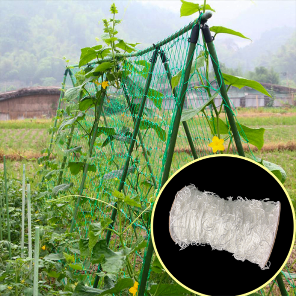 حديقة أخضر بيضاء Balck Trellis Plant Climbing دعم الموردين المعاوبين
