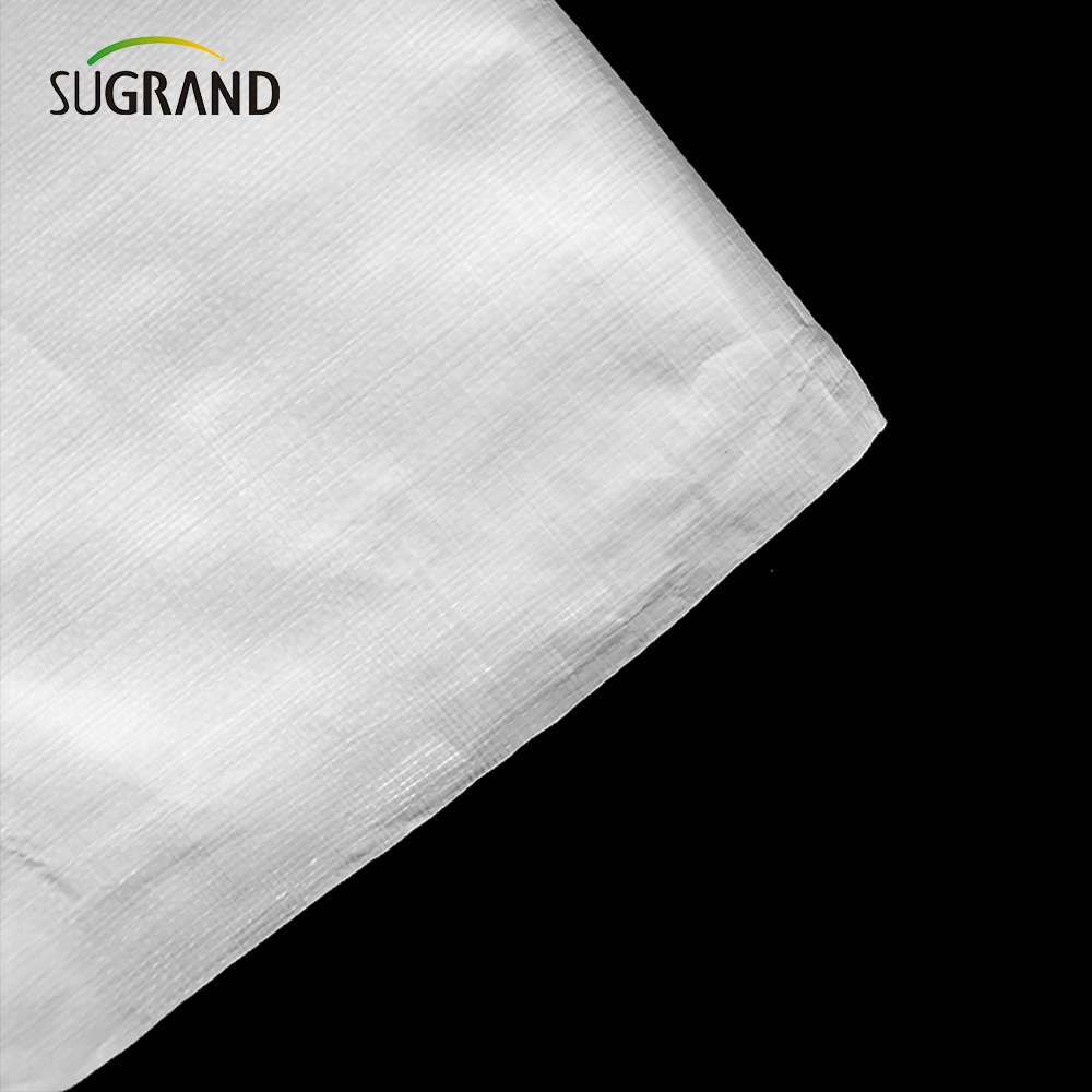 Pe White Tapaulin in Roll for Agriculture Industrial Outdoor Covers