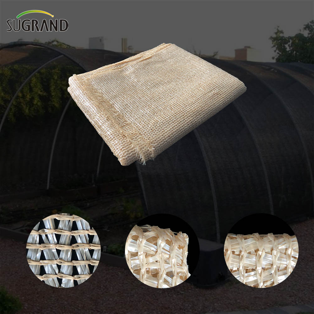 200 GSM Chocolate Mono Tape Net Net Online