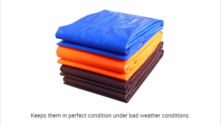 tarpaulin6 