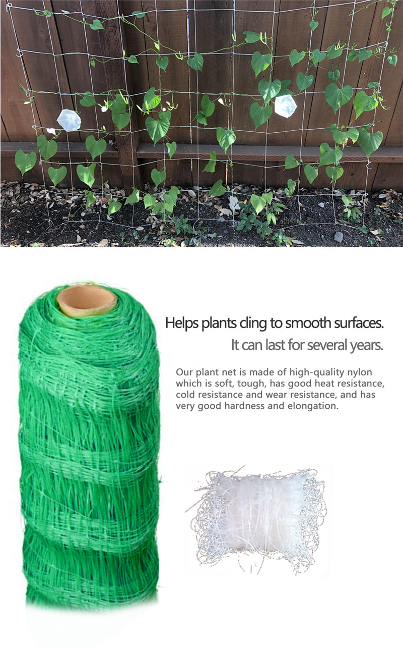 support trellis netting دعم Trellis Trellis