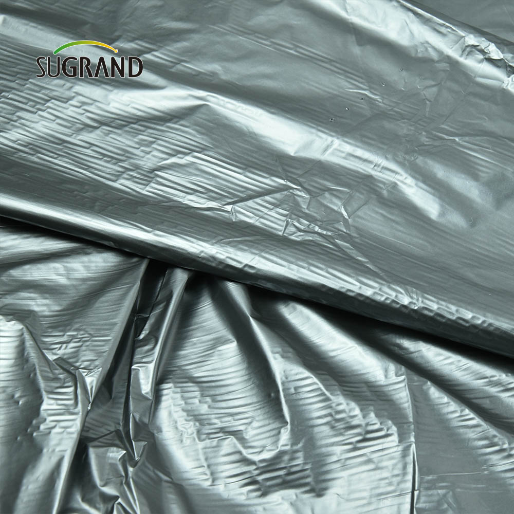 سعر المصنع الرخيص فيلم Black Plastic Mulch Biodechgedable UV Film for Agricultural