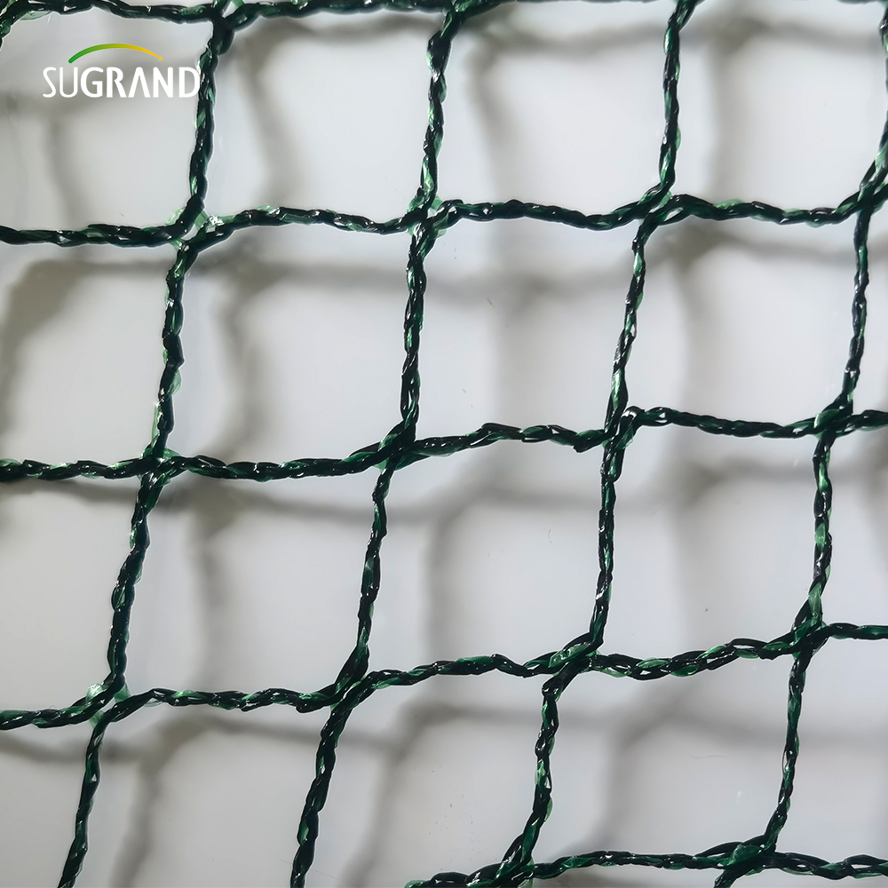 جمهورية تشيكية 100 ٪ HDPE+UV 25GSM 20*20mm شبكة 5*6/12M الزراعة الخضراء السوداء الصيد بطيور الضباب