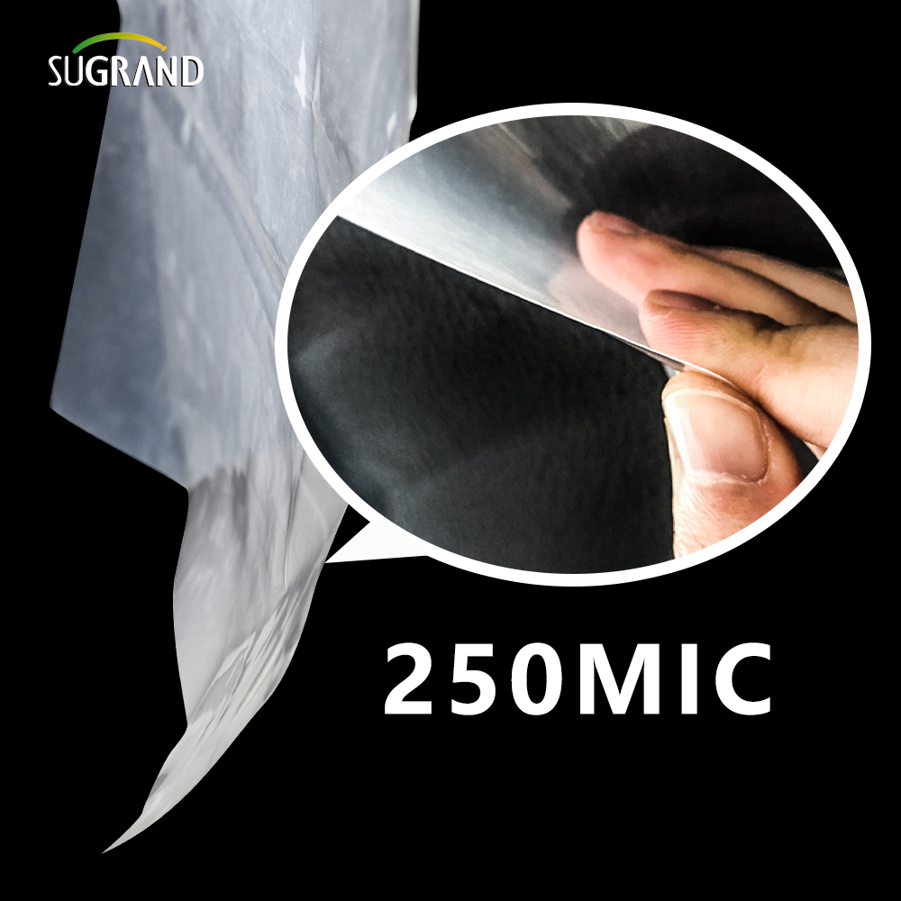 150 Micron-250 Micron UV Clear Polyethylene Greenhouse Plastic Plasting Moviliers