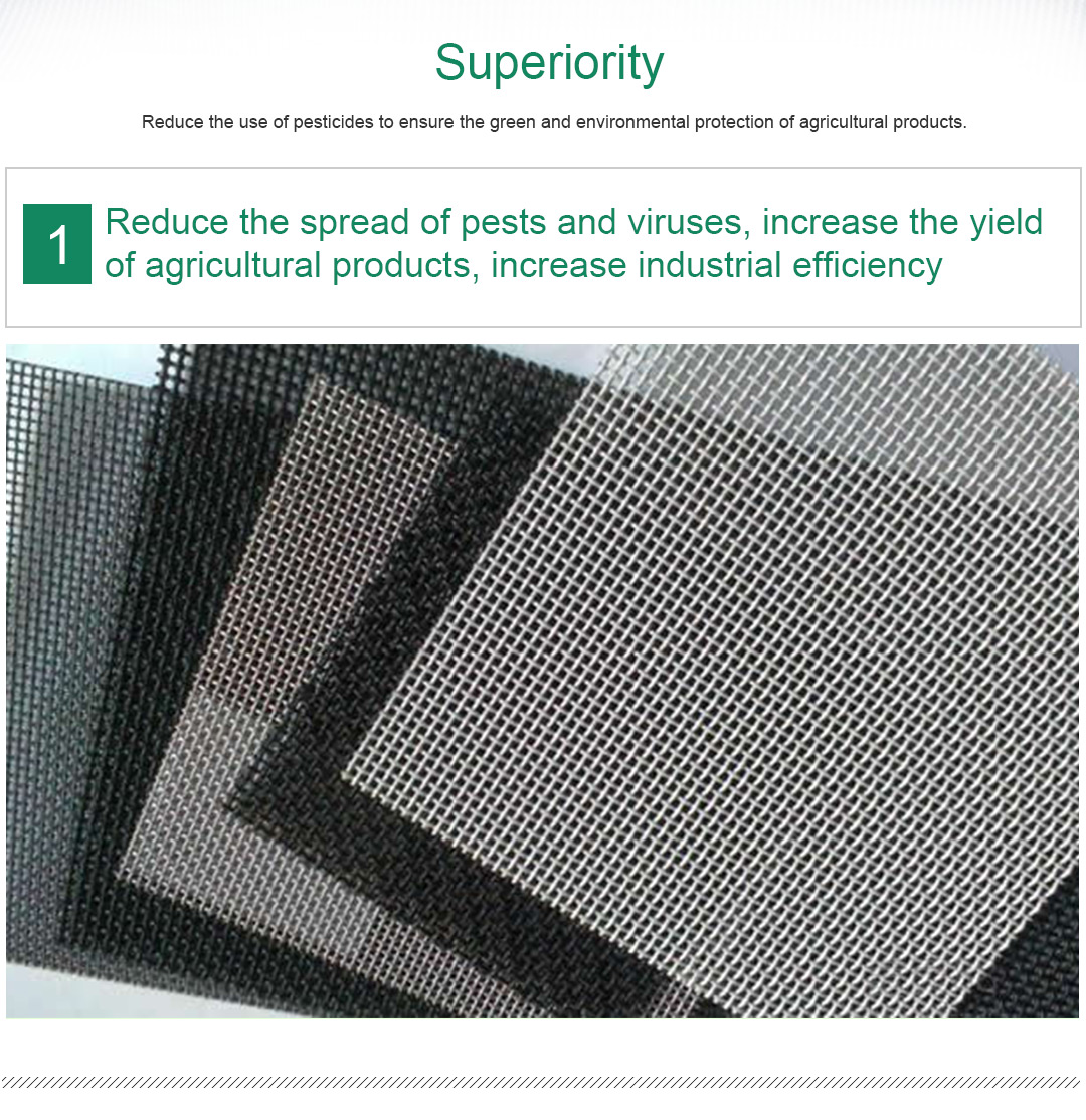 شبكة الحشرات 5