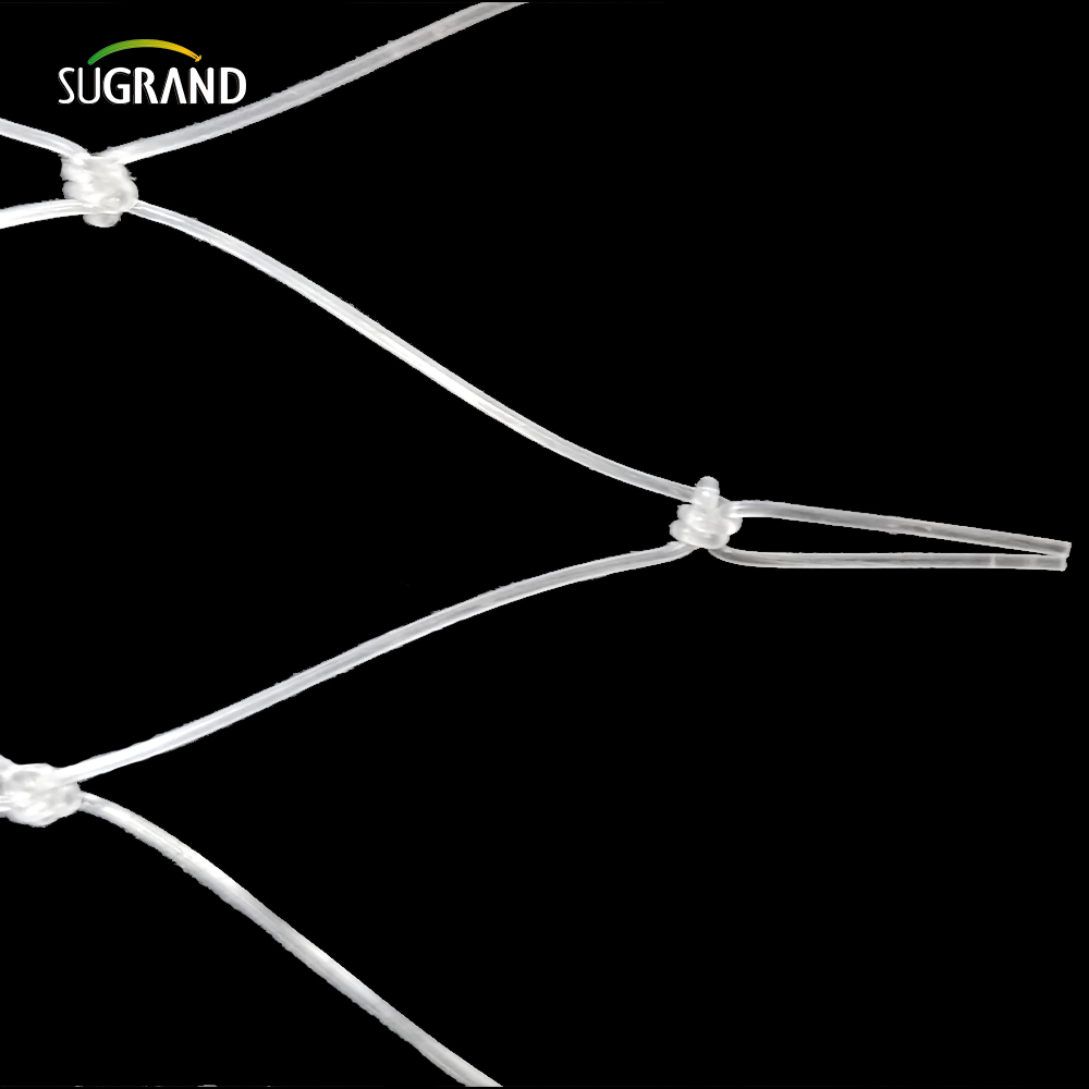 15*15 سم شبكة أسماك النايلون الشفافة لسوق بيرو