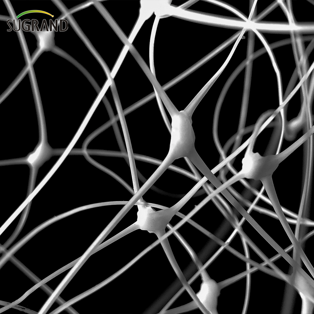 حديقة أخضر بيضاء Balck Trellis Plant Climbing دعم الموردين المعاوبين