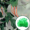 HDPE Net Plant Plant Net Support Net Trellis Trellis Trellis Trellis