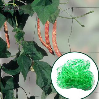 HDPE Net Plant Plant Net Support Net Trellis Trellis Trellis Trellis