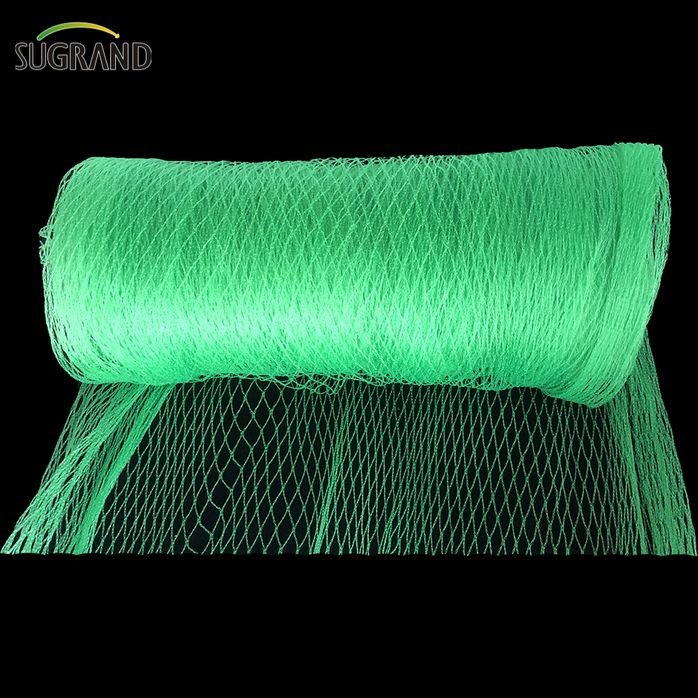 السوق الأرجنتيني Green Bird Protection Net Nylon Mist Bird Nets