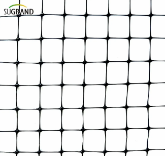 شبكة الطيور