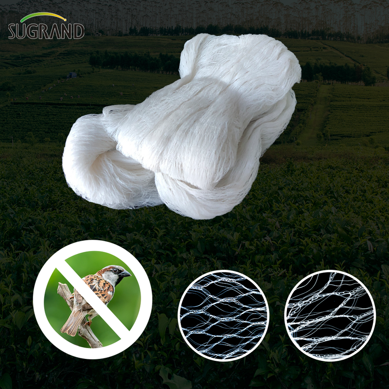 البيع الأبيض حياكة الطيور الشبكة 75G موردين شبك