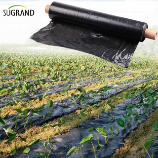 Biotelo Biodechgedable Mulch Film Agriplast Mulching