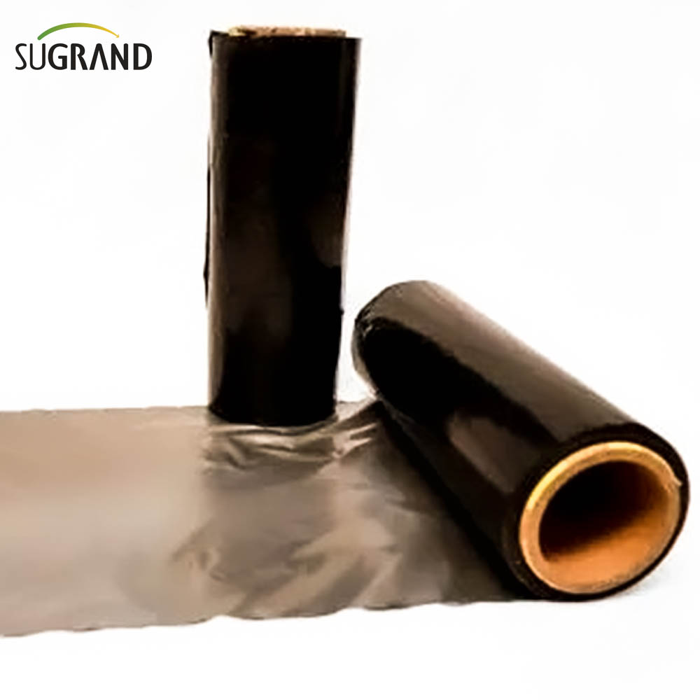 Biotelo Biodechgedable Mulch Film Agriplast Mulching