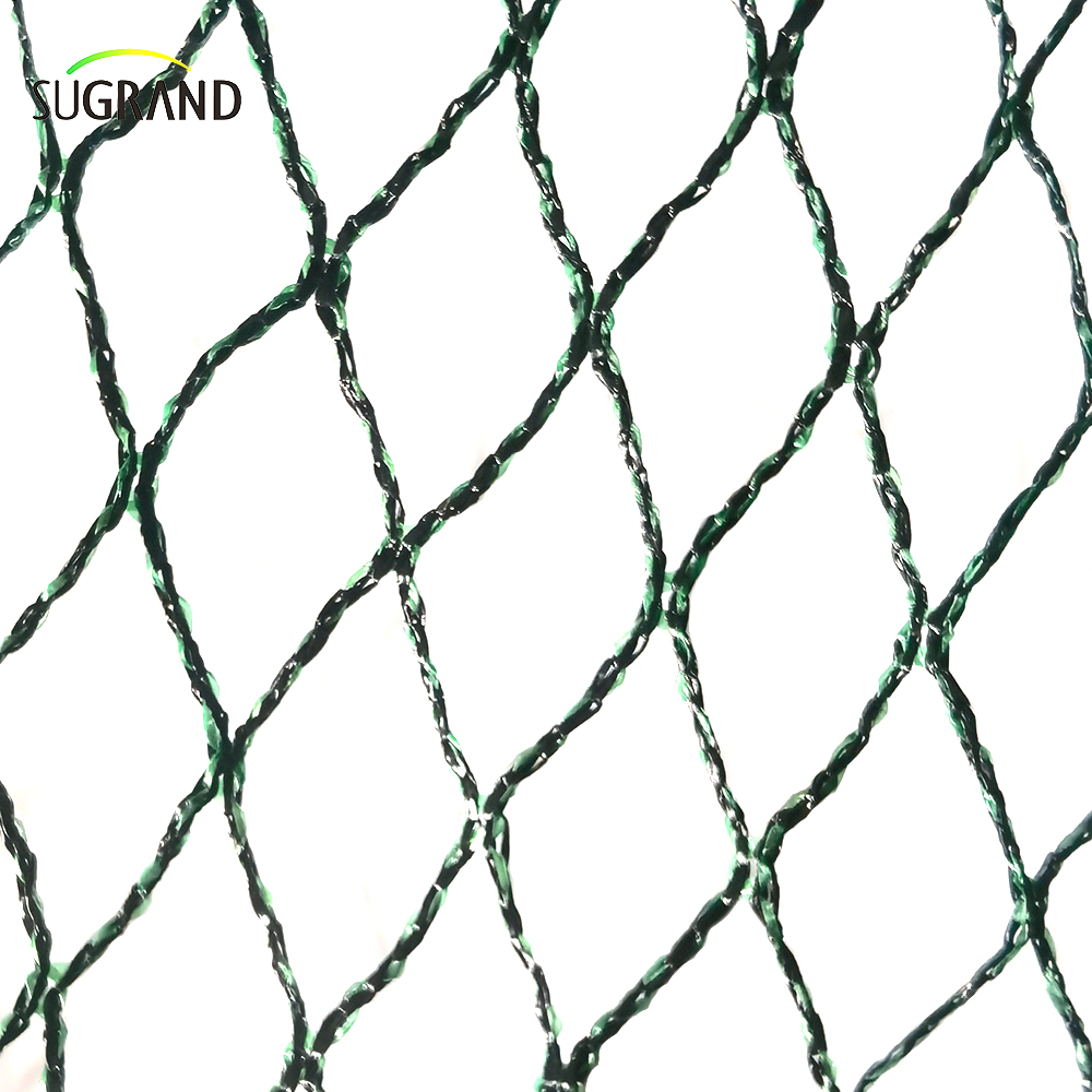 جمهورية تشيكية 100 ٪ HDPE+UV 25GSM 20*20mm شبكة 5*6/12M الزراعة الخضراء السوداء الصيد بطيور الضباب