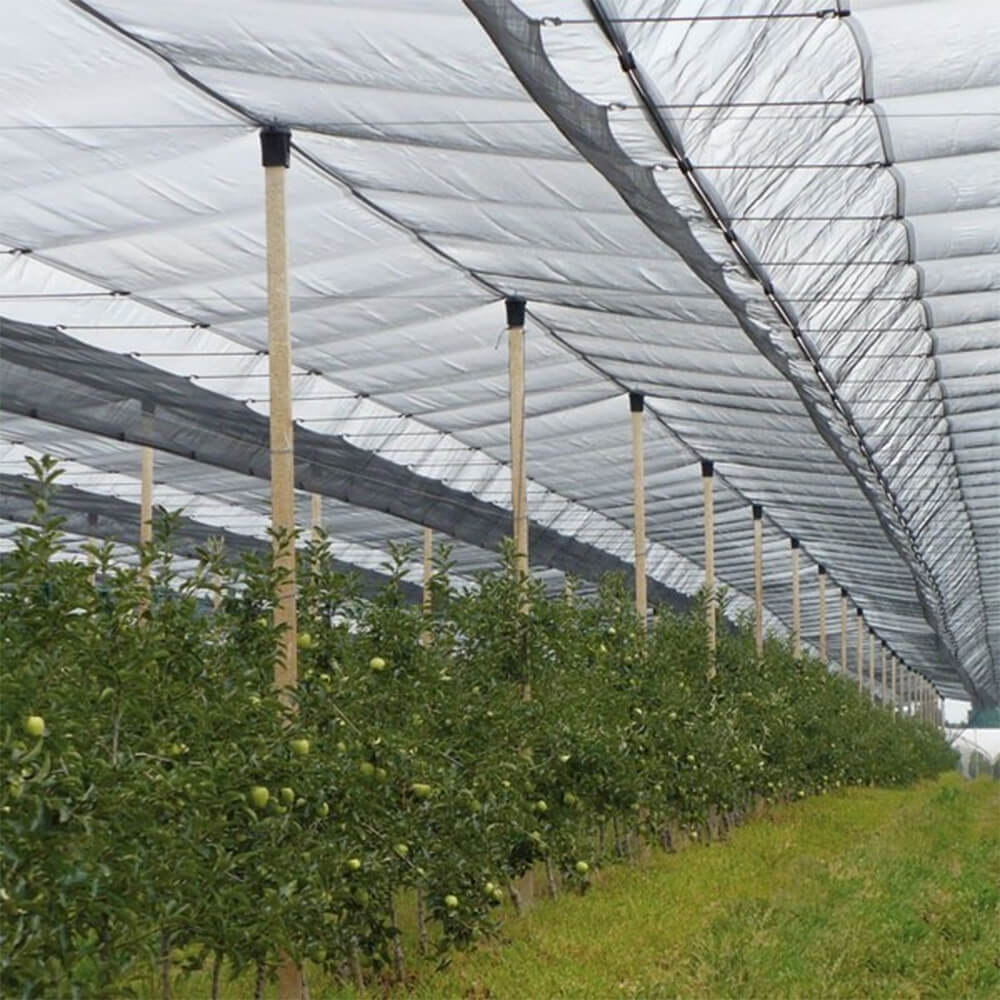 شبكة برد محبوكة ممتازة لكروم العنب