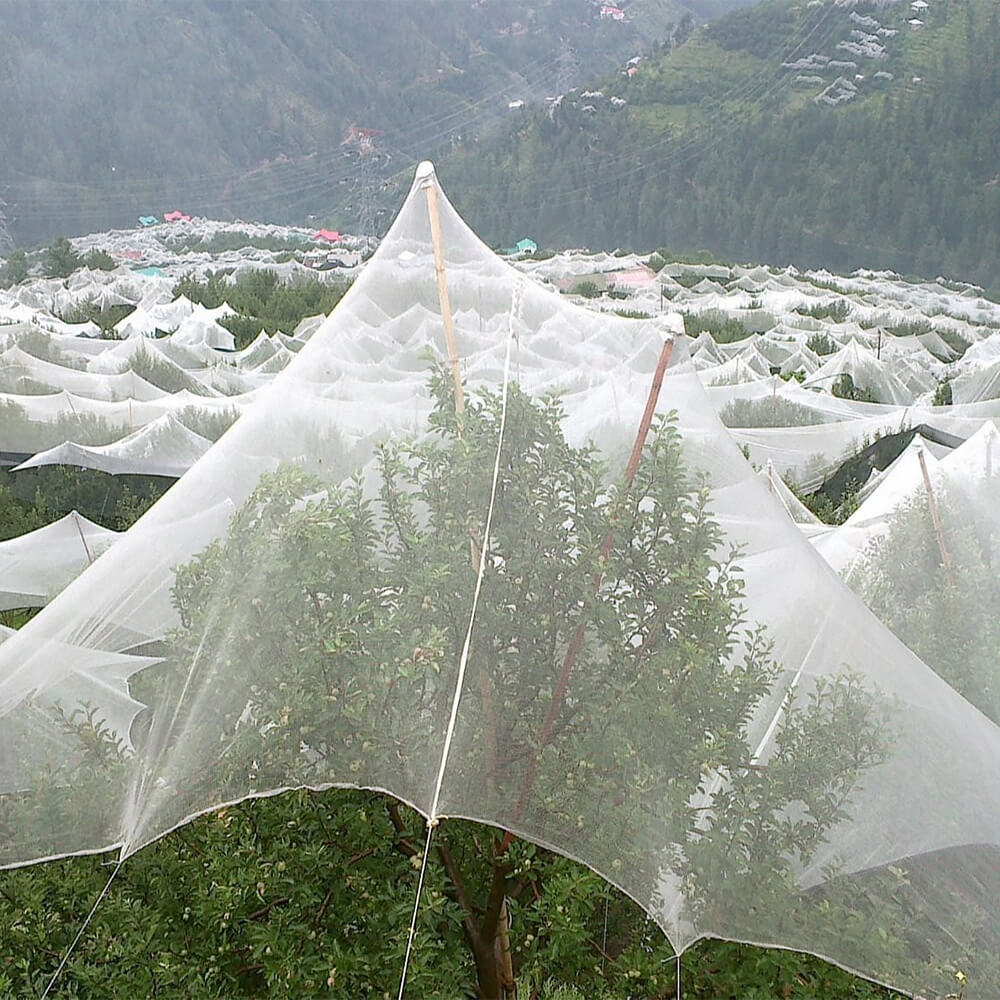 شبكة برد محبوكة ممتازة لكروم العنب